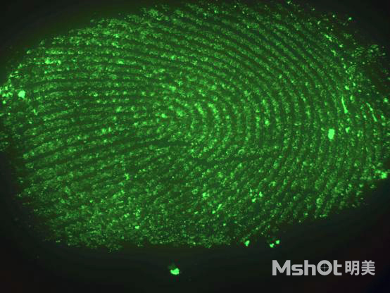 明美自主研發科研級顯微鏡相機對指紋的識別研究