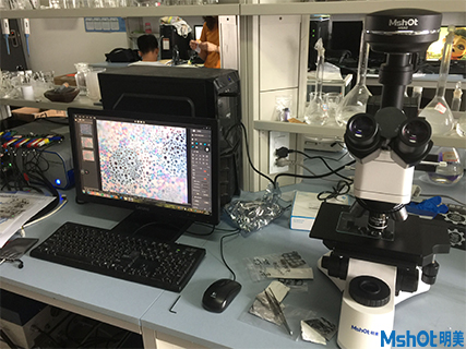 深圳大學化學系看合成材料選金相顯微鏡

