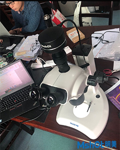 看植物花粉，葉尖等形貌用什么顯微鏡及CCD相機
