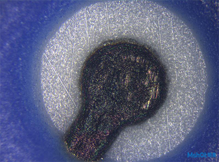 金相顯微鏡下的生物芯片