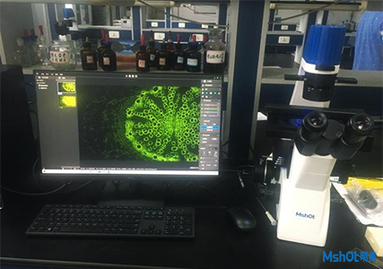 明美熒光顯微鏡應用于學校公共平臺實驗室