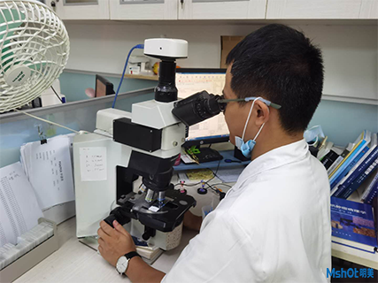 明美顯微鏡熒光模塊助力南昌大學一附屬醫院免疫熒光觀察