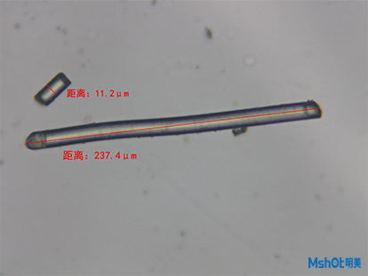 生物顯微鏡下的玻璃纖維
