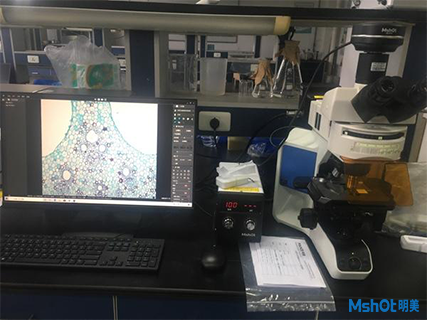 明美熒光顯微鏡應用于學校實驗室