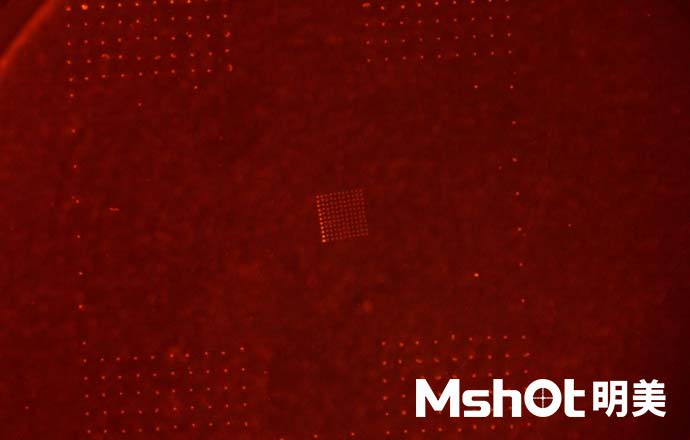 熒光劑用什么顯微鏡？