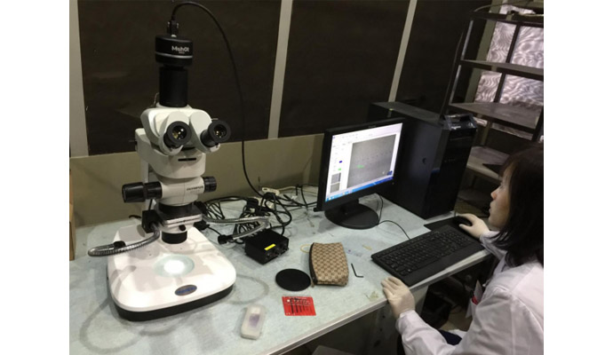 體視熒光顯微鏡應用于心血管研究