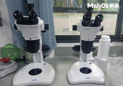 體視顯微鏡用于電生理領域