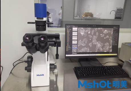 倒置顯微鏡應用于乳腺癌細胞觀察