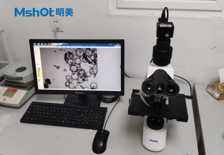 石墨烯用什么顯微鏡觀察？