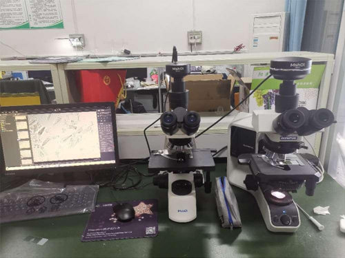 明美顯微鏡用于觀察單極蟲