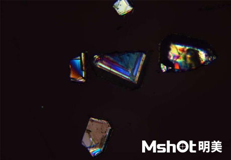 偏光顯微鏡應用于無機鹽觀察