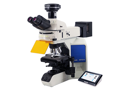 熒光顯微鏡MF43-N