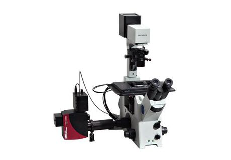 Thorlabs共聚焦顯微鏡系統