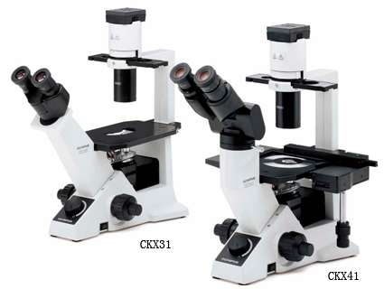 奧林巴斯倒置顯微鏡