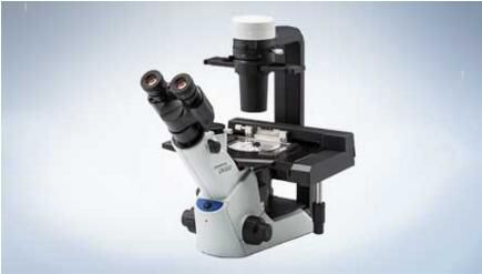 奧林巴斯倒置顯微鏡CKX53