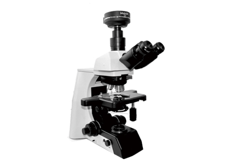 生物顯微鏡ML51