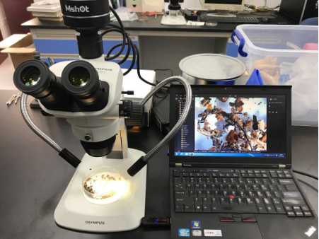 考古研究需要用到哪些光學顯微鏡呢？