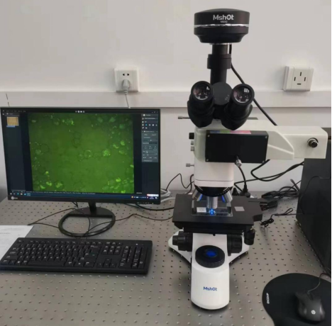 金相顯微鏡的熒光升級用于二維材料檢測
