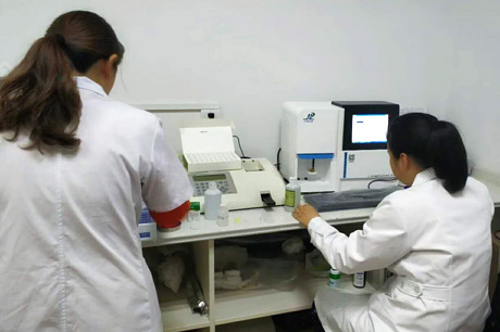 北京新九陸生物介紹哪些食物能清熱祛濕？